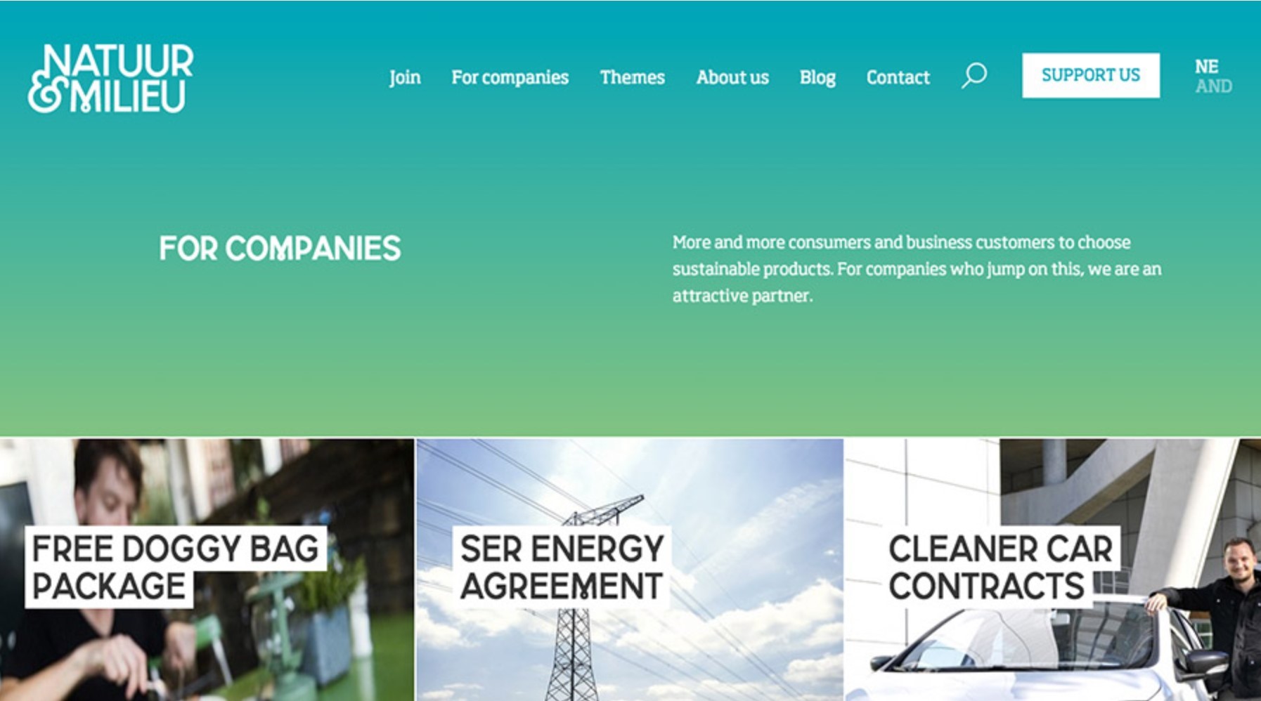 Sustainable product company website using analogous color scheme